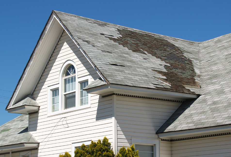Filing a Storm-Damage Roof Claim in South Texas? Here’s What Alleycat Handles For You