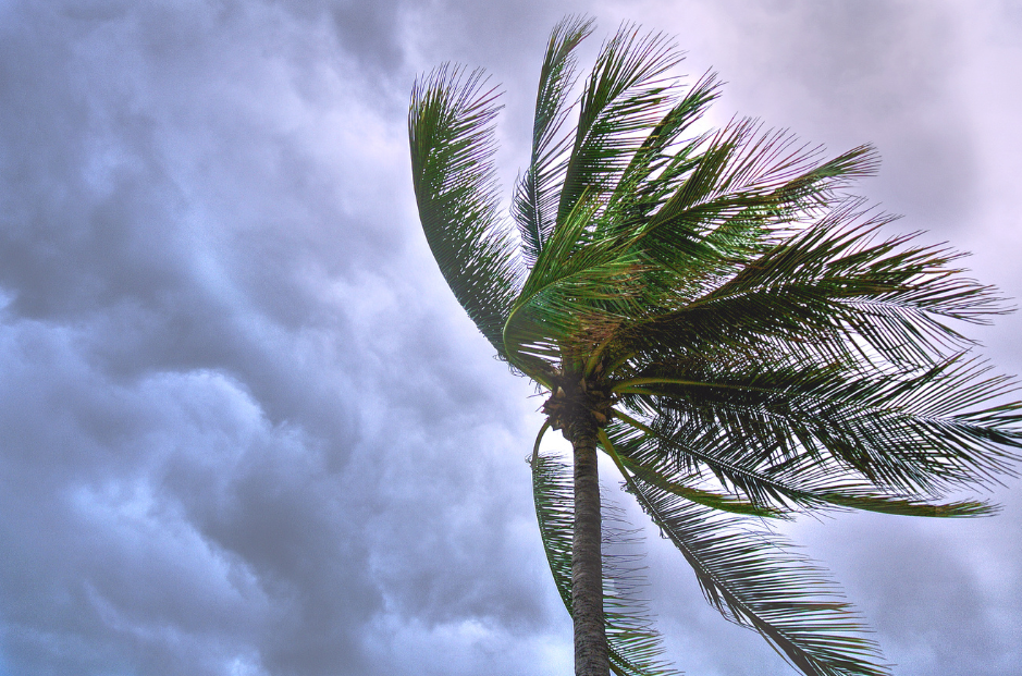 A Quiet Hurricane Season Is the Best Time to Choose Your Next Roof